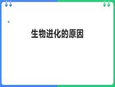 人教版（2024）八年级生物下册7.3.3生物进化的原因精品ppt课件