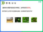 人教版（2024）八年级生物下册7.3.3生物进化的原因精品ppt课件