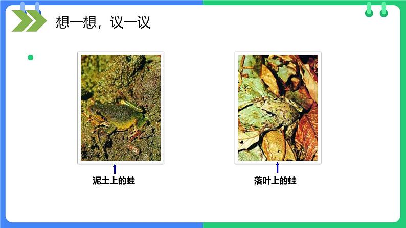 人教版（2024）八年级生物下册7.3.3生物进化的原因精品ppt课件第6页