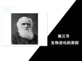 人教版（2024）八年级生物下册7.3.3生物进化的原因ppt精品课件