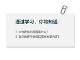 人教版（2024）八年级生物下册7.3.3生物进化的原因ppt精品课件