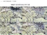人教版（2024）八年级生物下册7.3.3生物进化的原因ppt精品课件