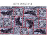 人教版（2024）八年级生物下册7.3.3生物进化的原因ppt精品课件