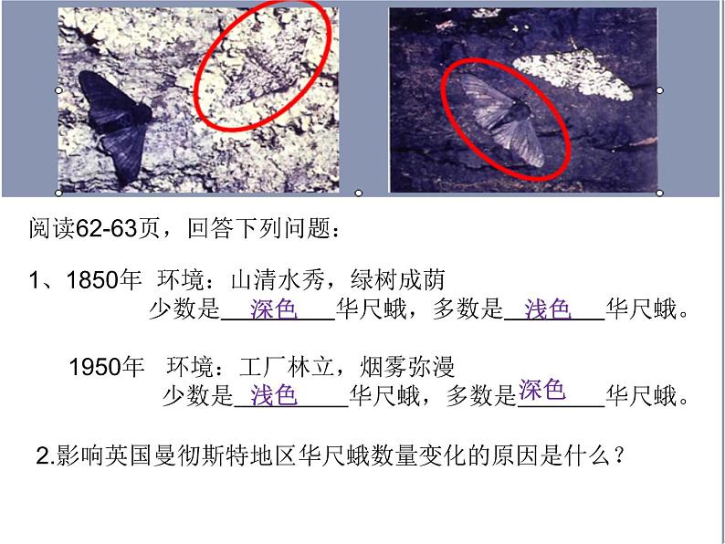 人教版（2024）八年级生物下册7.3.3生物进化的原因ppt精品课件第6页