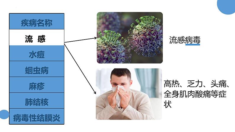 人教版（2024）八年级生物下册8.1.1传染病及其预防精品ppt课件第3页