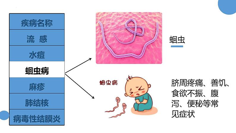 人教版（2024）八年级生物下册8.1.1传染病及其预防精品ppt课件第5页