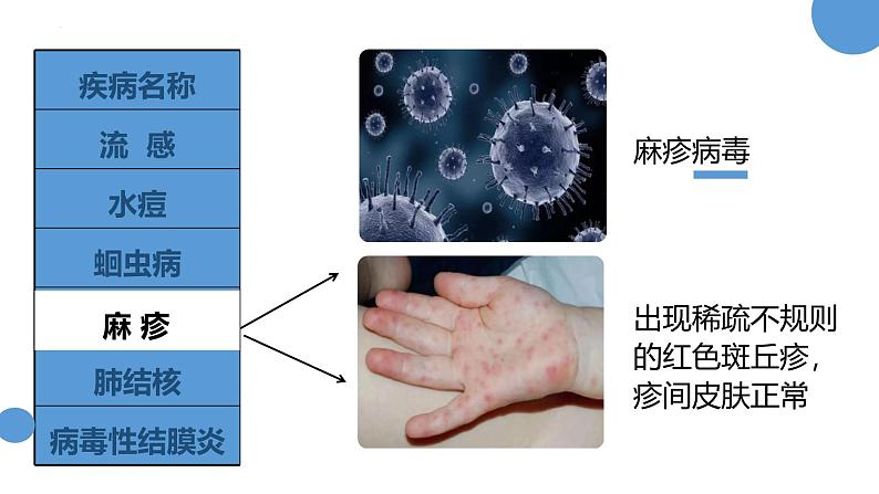 人教版（2024）八年级生物下册8.1.1传染病及其预防精品ppt课件第6页