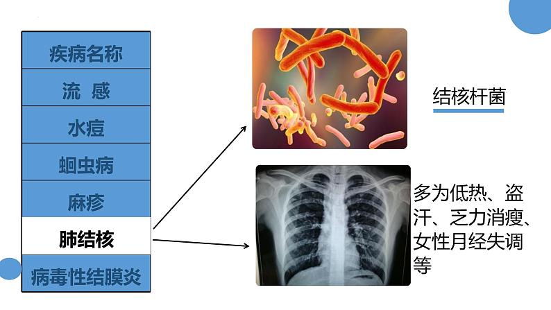 人教版（2024）八年级生物下册8.1.1传染病及其预防精品ppt课件第7页