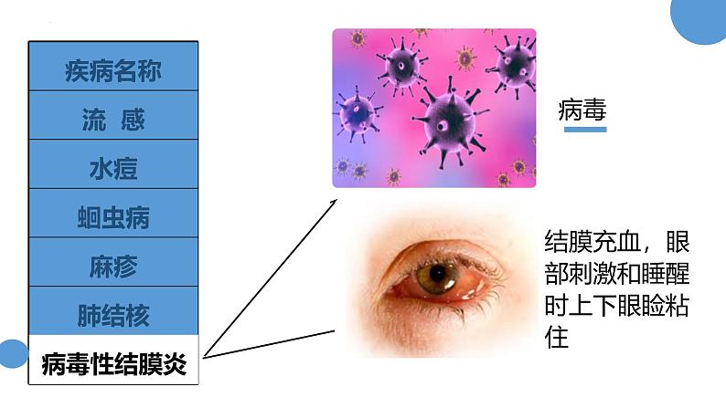 人教版（2024）八年级生物下册8.1.1传染病及其预防精品ppt课件第8页