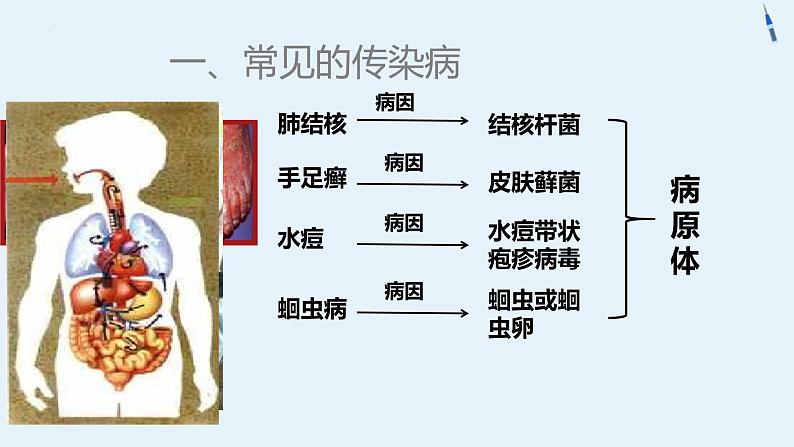 人教版（2024）八年级生物下册8.1.1传染病及其预防ppt精品课件第4页