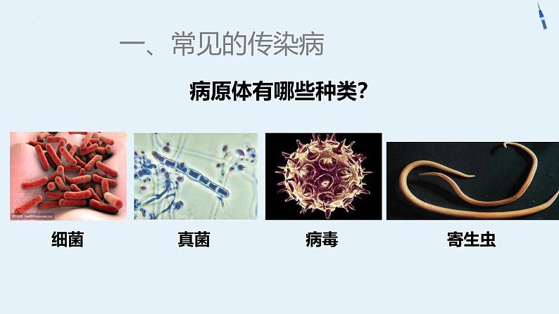 人教版（2024）八年级生物下册8.1.1传染病及其预防ppt精品课件第5页