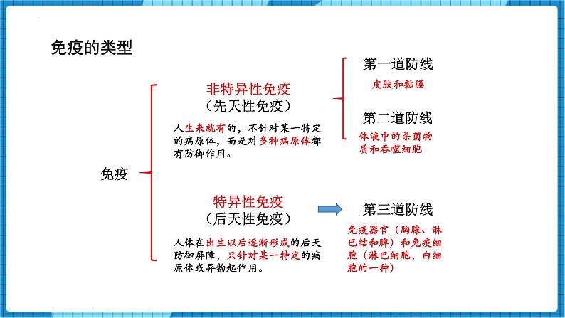 人教版（2024）八年级生物下册8.1.2免疫和计划免疫课件第3页