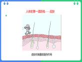 人教版（2024）八年级生物下册8.1.2免疫和计划免疫精品课件