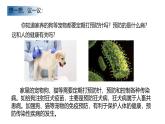 人教版（2024）八年级生物下册8.1.2免疫和计划免疫精品ppt课件