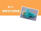 人教版（2024）八年级生物下册8.1.2免疫和计划免疫ppt精品课件