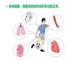 人教版（2024）八年级生物下册8.3.1评价自己的健康状况ppt精品课件