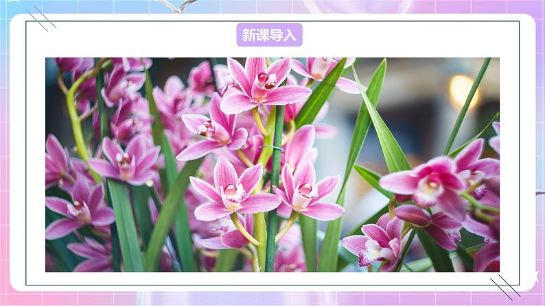 4.1.1花的结构和类型 课件-济南版生物八年级上册第2页