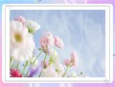 4.1.1花的结构和类型 课件-济南版生物八年级上册