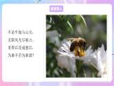 4.1.2传粉与受精 课件-济南版生物八年级上册