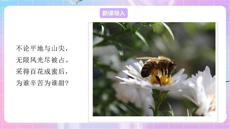 4.1.2传粉与受精 课件-济南版生物八年级上册第2页