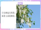 4.1.3果实和种子的形成 课件-济南版生物八年级上册