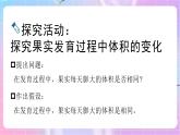4.1.3果实和种子的形成 课件-济南版生物八年级上册