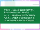 4.1.4種子的萌發(fā) 課件-濟(jì)南版生物八年級(jí)上冊(cè)