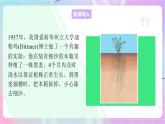 4.1.5根的結(jié)構(gòu)與功能 課件-濟(jì)南版生物八年級(jí)上冊(cè)