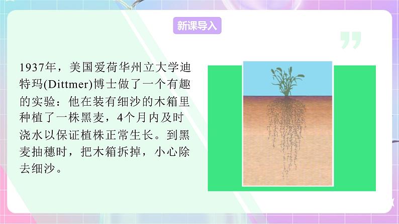 4.1.5根的结构与功能 课件-济南版生物八年级上册第2页