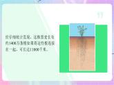 4.1.5根的結(jié)構(gòu)與功能 課件-濟(jì)南版生物八年級(jí)上冊(cè)