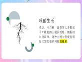 4.1.5根的結(jié)構(gòu)與功能 課件-濟(jì)南版生物八年級(jí)上冊(cè)
