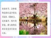 4.1.6芽的类型和发育 课件-济南版生物八年级上册