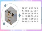 4.2.1昆虫的生殖和发育 课件-济南版生物八年级上册