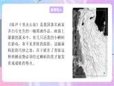 4.2.2两栖动物的生殖和发育 课件-济南版生物八年级上册