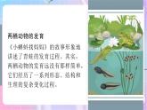 4.2.2两栖动物的生殖和发育 课件-济南版生物八年级上册