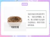 4.2.3鸟的生殖和发育 课件-济南版生物八年级上册