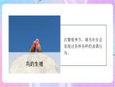 4.2.3鸟的生殖和发育 课件-济南版生物八年级上册