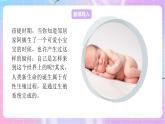 4.3.1婴儿的诞生 课件-济南版生物八年级上册