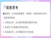 4.3.1婴儿的诞生 课件-济南版生物八年级上册