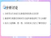 4.3.2青春期發(fā)育 課件-濟(jì)南版生物八年級上冊
