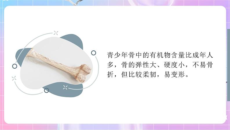 4.3.3走向成熟 课件-济南版生物八年级上册第7页