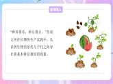 4.4.1遗传的物质基础 课件-济南版生物八年级上册