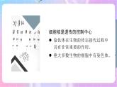 4.4.1遗传的物质基础 课件-济南版生物八年级上册