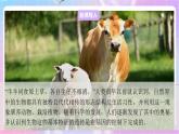 4.4.2性状的遗传 课件-济南版生物八年级上册