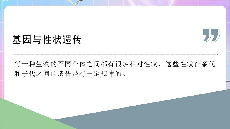 4.4.2性状的遗传 课件-济南版生物八年级上册第7页