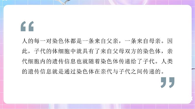 4.4.3人类染色体与性别决定 课件-济南版生物八年级上册第5页