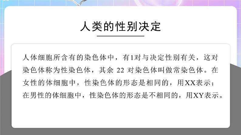 4.4.3人类染色体与性别决定 课件-济南版生物八年级上册第6页