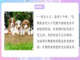 4.4.4生物的变异 课件-济南版生物八年级上册
