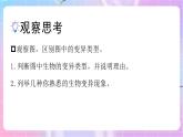 4.4.4生物的变异 课件-济南版生物八年级上册