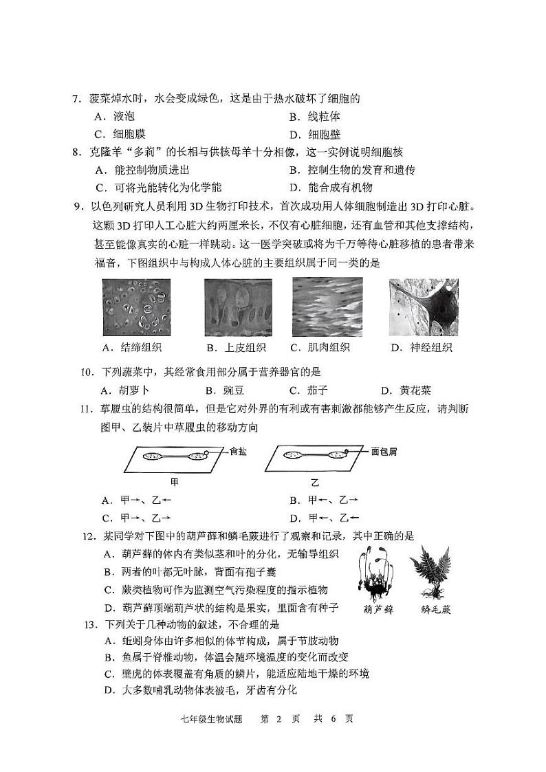 吉林省长春市九台区2024-2025学年七年级上学期期末教学质量监测生物试题第2页